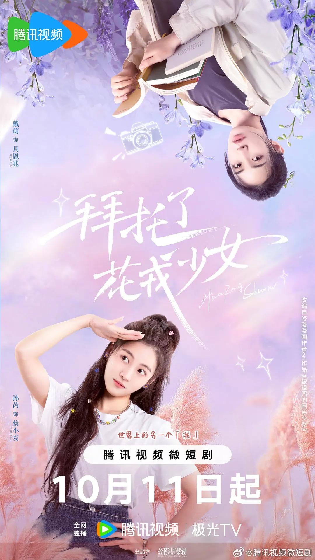 拜托了,花戎少女海报