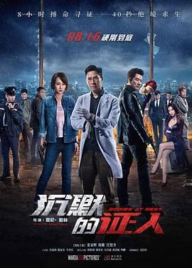 沉默的证人(国语版)海报