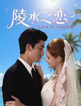 陵水之恋海报