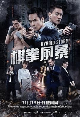 棋拳风暴(普通话)海报