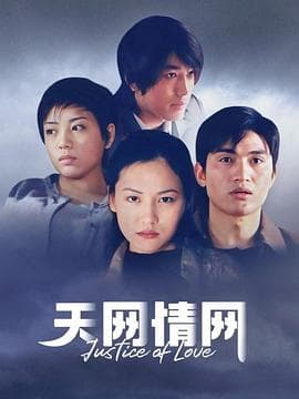 天网情网海报