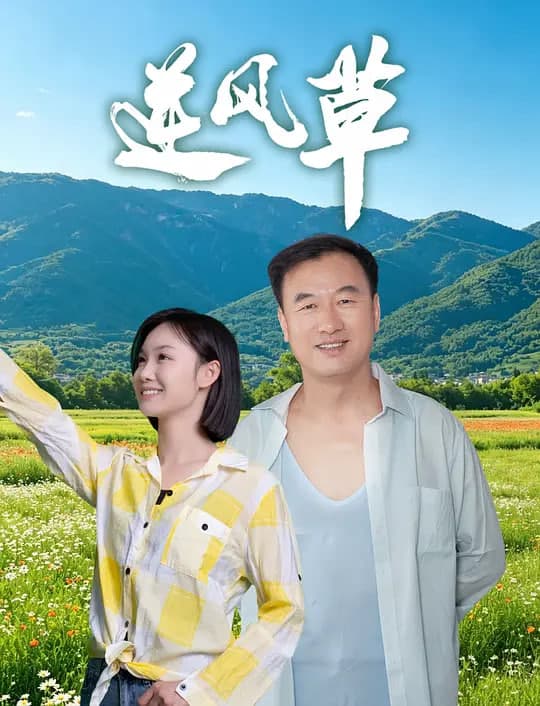 逆风草海报