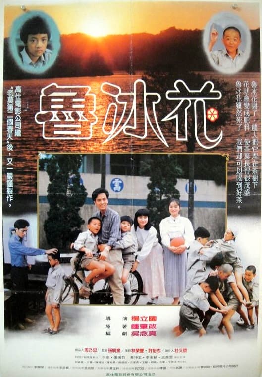 鲁冰花海报