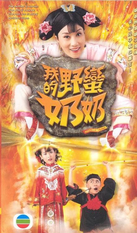 我的野蛮奶奶海报